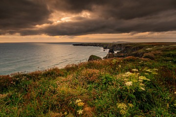 Wall Mural - bedruthan steps