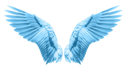 Fototapete - Natural blue wing plumage