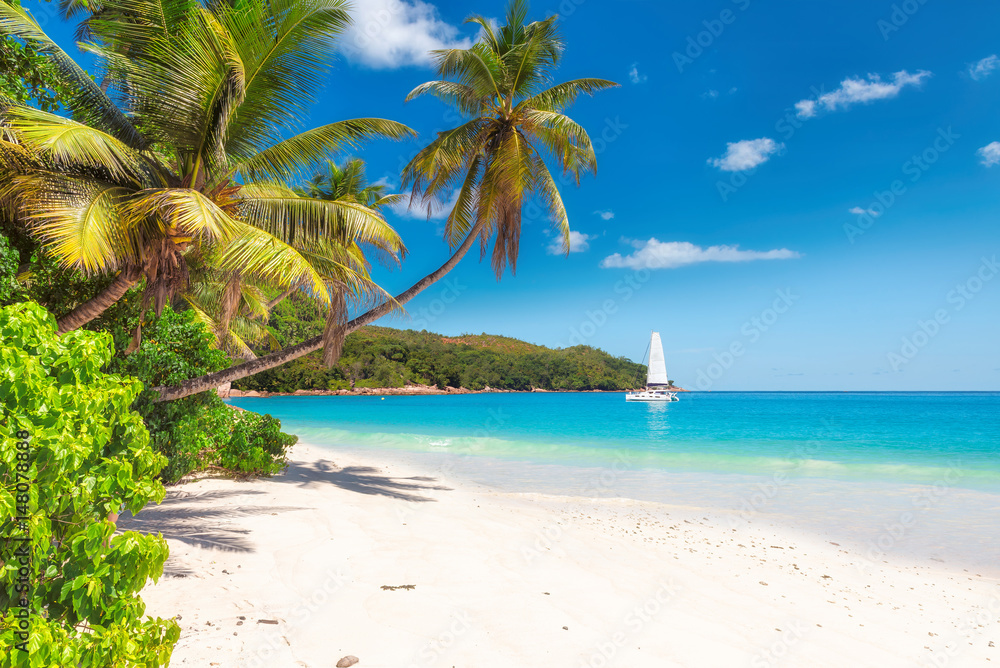 Sandy beach with palm trees and a sailing boat in the turquoise sea on Paradise island. - obrazy, fototapety, plakaty 