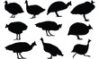 Guinea fowl Silhouette vector illustration