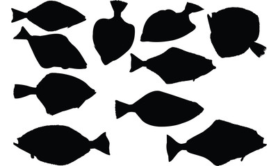 Halibut Silhouette vector illustration