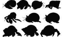 Hermit Crab Silhouette Vector Illustration