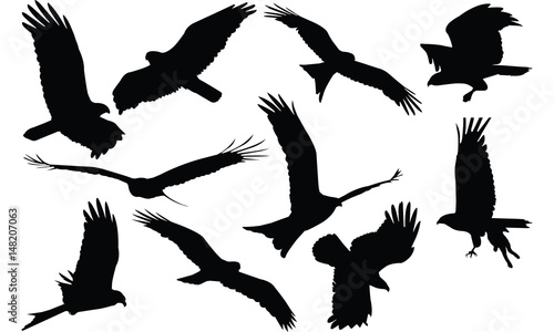 Fotografía Kite Silhouette vector illustration