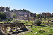 Forum Romanum | Rom