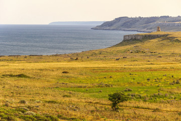 The most beautiful coasts of Italy: spring landscape. Salento (Apulia).The Otranto Santa Maria di Leuca Coast and Tricase Woods Regional Nature Park:in the background Sant 'Emiliano tower.