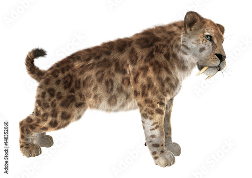3D Rendering Saber Tooth Tiger on White - Buy this stock illustration and explore similar