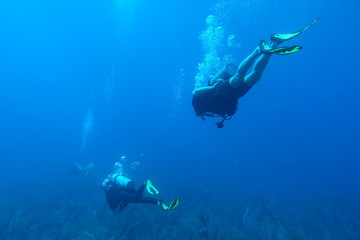  Diving in Puerto Rico
