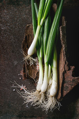 Fresh organic ripe young green spring onion bundle with leaves and pink salt on wooden bark over dark metal texture background. Top view with space