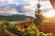 View of Weissensee lake from balcony with geranium on foreground at sunset, Carinthia, Austria.