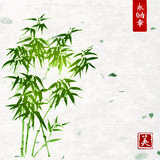 Fototapeta Sypialnia - Green bamboo on handmade rice paper background. Traditional oriental ink painting sumi-e, u-sin, go-hua. Contains hieroglyphs - eternity, freedom, happiness, beauty