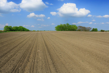 Sticker - arable land and clouds