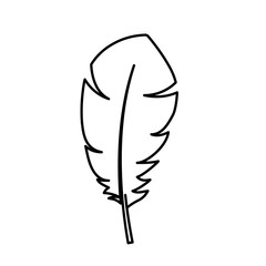 Wall Mural - feather icon over white background. vector illustration