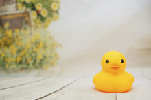 Yellow Duck Toys Over Wooden Table Backgrounds