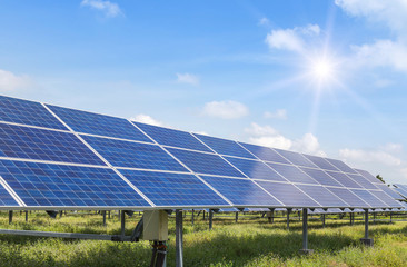 Wall Mural - solar panels in power station alternative energy from the sun