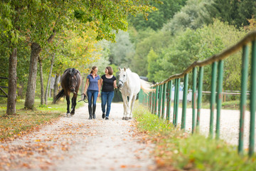 Friends With Their Horses