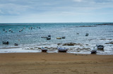 Fototapeta Morze - Low tide at the beach in Cadiz, Spain