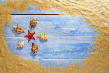 Wall Mural - Sea shells on the wooden floor
