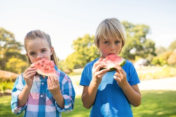 Wall Mural - Siblings having watermelon in the park