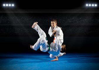 Wall Mural - Children martial arts fighters