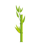 Fototapeta Sypialnia - bamboo leaves icon over white background. colorful design. vector illustration