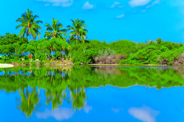 Wall Mural - Dreamscape Escape On Maldives