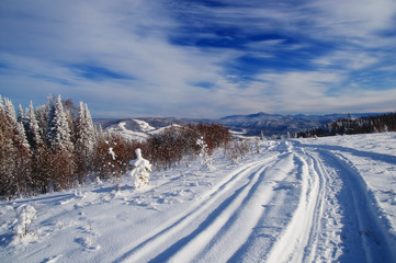 Wall Mural - Winter snow mountain forest hills and the track path of the snowmobile in the foreground under blue sky. Altai Mountains, Siberia, Russia