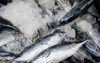 Fresh bay fish in ice on the market.