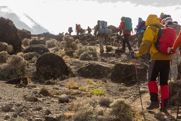 Track on Kilimanjaro on the Machame Route Whiskey. 3 day