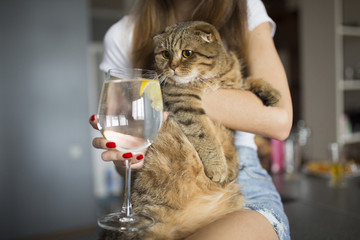 Wall Mural - girl holding her funny cat and a glass of water with lemon slice. cute cat trying to drink lemonade 