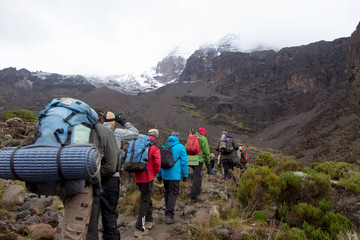 track on kilimanjaro on the machame route whiskey. 4 day