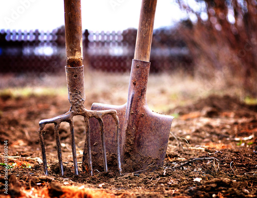 Cuadros en Lienzo shovel and pitchfork in soil in spring garden, shallow depth of field, toned, lo