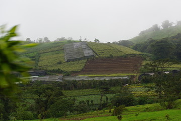 Costa Rican countryside 3