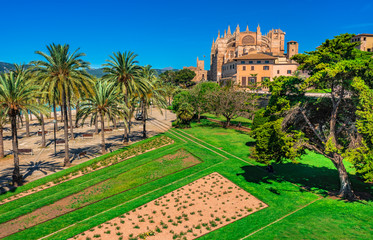 Wall Mural - Palma de Mallorca Aussicht auf Kathedrale La Seu