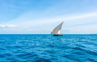 Wall Mural - beautiful colorful seascape with african sail boat on the horizon