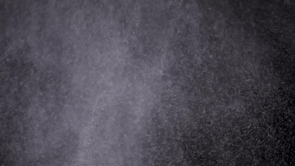 Wall Mural - white powder exploding isolated on black