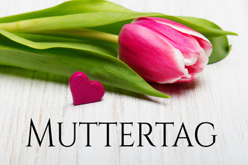  German Mother's day card with word Muttertag (Mother's day) tulip and hearts on white wooden background.