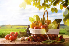 Fruits And Vegetables On Table And Crop Landscape Background