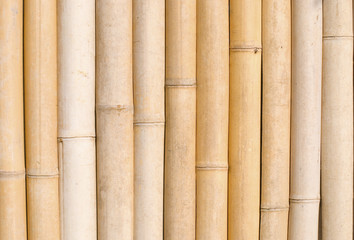  bamboo texture, architecture decoration in asia.