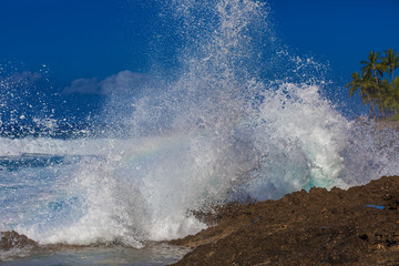 Wall Mural - sea waves crashing against the rocks at tropical beach with palm trees in pacific island. ocean wate