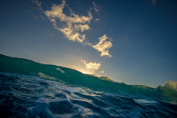 Wall Mural - Big sea wave rising and ready to crash