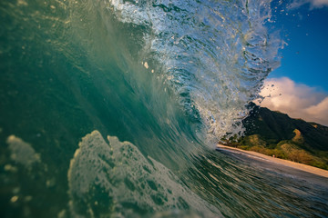 Wall Mural - beautiful ocean wave barreled. sea water in tropical environment of susnet background