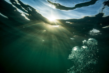 Wall Mural - underwater background with sunlight on water surface with air bubbles.
