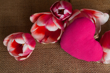 Wall Mural - Fresh roses on wood desk