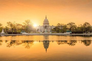 Fototapete - The United States Capitol Building in Washington DC