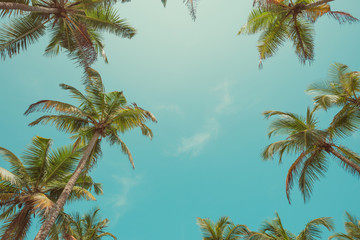 Vintage toned palm trees leafs over sky background with sky as copy space