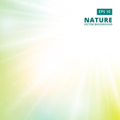 Wall Mural - sparkling sunlight and flares of light from the sides on a green background of nature. vector backgr