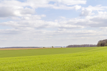 Wall Mural - rural landscape at spring time