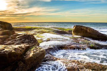 sydney beach sunrise