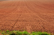 Earth in a field for agricultural cultivations.