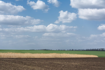 black plowed field in spring clouds in blue sky